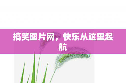 快乐从这里起航图片