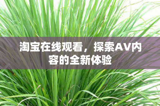 探索AV内容的全新体验图片