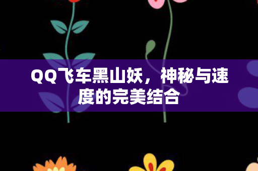 神秘与速度的完美结合图片