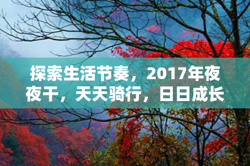 2017年夜夜干图片