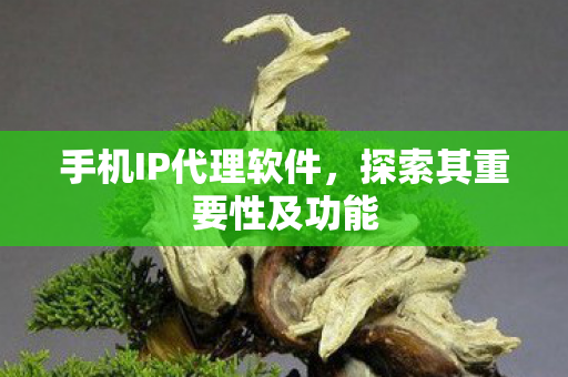 探索其重要性及功能图片