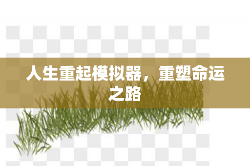 人生重起模拟器图片