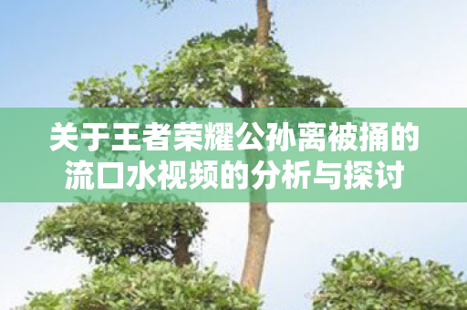 关于王者荣耀公孙离被捅的流口水视频的分析与探讨图片