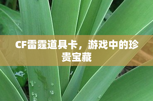 游戏中的珍贵宝藏图片