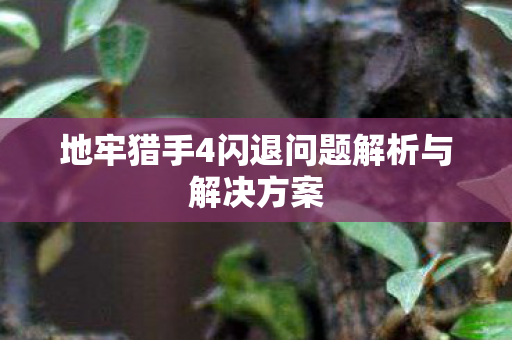 地牢猎手4闪退问题解析与解决方案图片