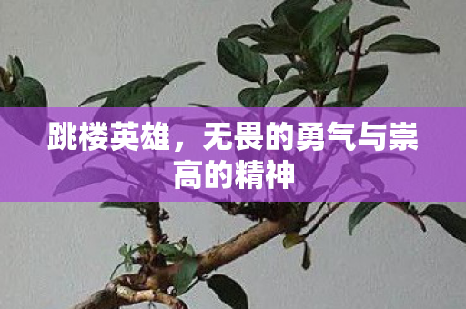 无畏的勇气与崇高的精神图片