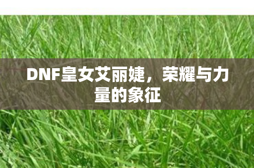 DNF皇女艾丽婕图片