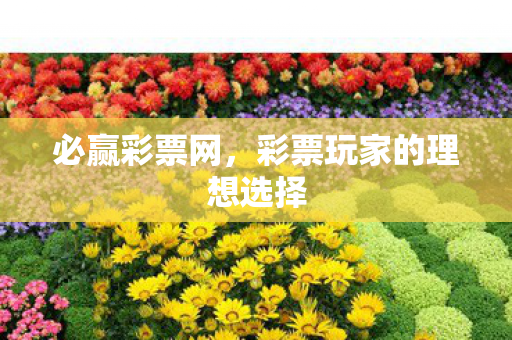 彩票玩家的理想选择图片