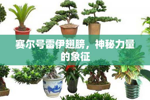 赛尔号雷伊翅膀图片