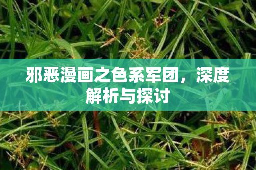 邪恶漫画之色系军团图片