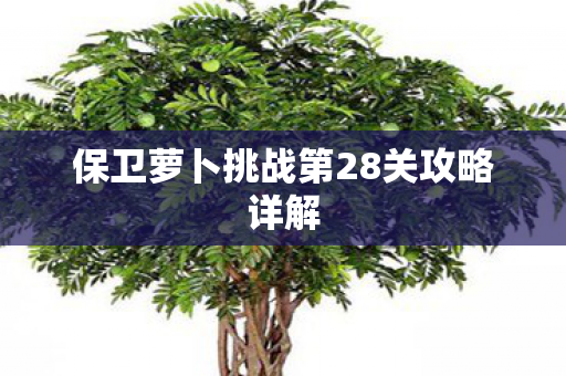 保卫萝卜挑战第28关攻略详解图片