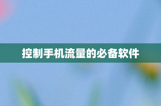 控制手机流量的必备软件图片