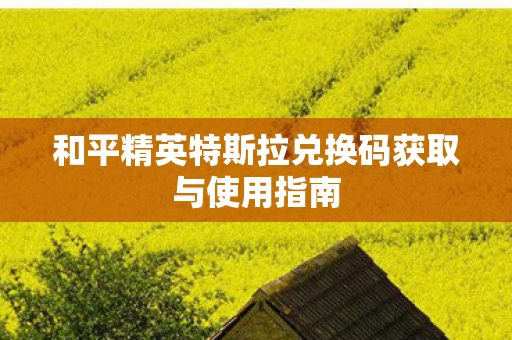 和平精英特斯拉兑换码获取与使用指南图片