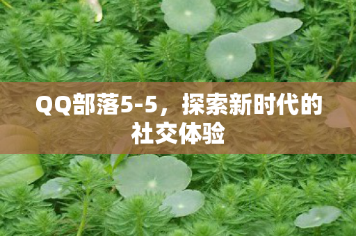 探索新时代的社交体验图片