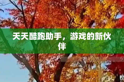 天天酷跑助手图片