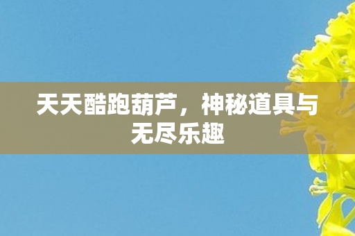 神秘道具与无尽乐趣图片