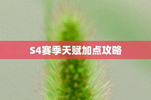 S4赛季天赋加点攻略图片