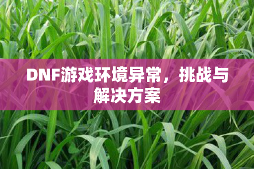 DNF游戏环境异常图片