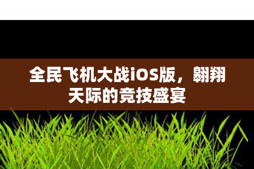 全民飞机大战iOS版图片