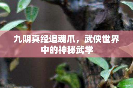武侠世界中的神秘武学图片