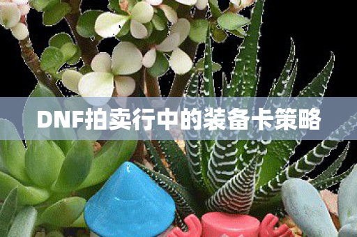 DNF拍卖行中的装备卡策略图片