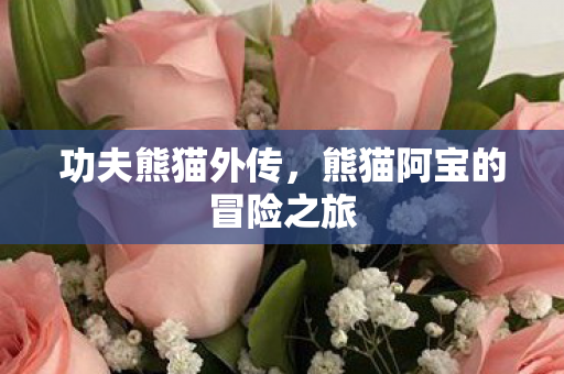 熊猫阿宝的冒险之旅图片