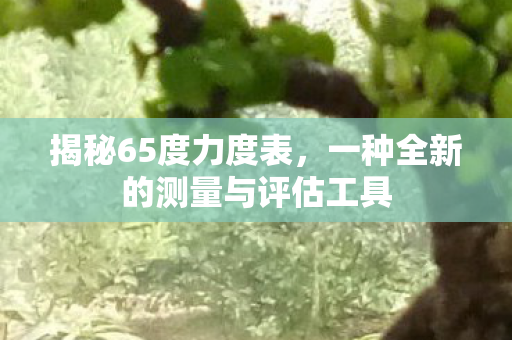 一种全新的测量与评估工具图片