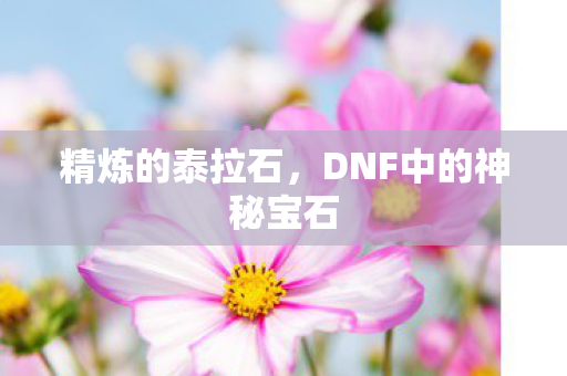 DNF中的神秘宝石图片
