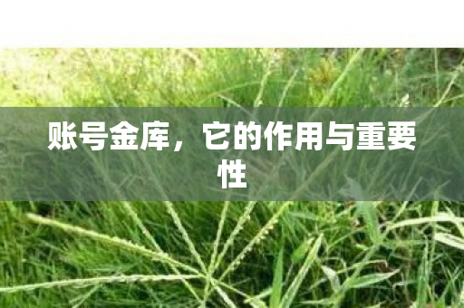 它的作用与重要性图片