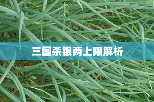 三国杀银两上限解析图片