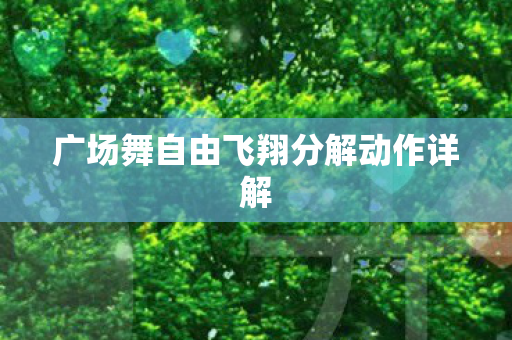 广场舞自由飞翔分解动作详解图片