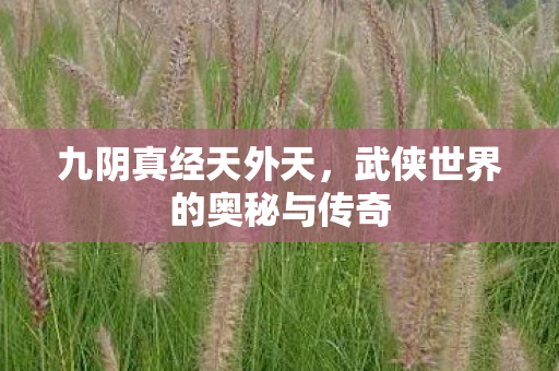 武侠世界的奥秘与传奇图片