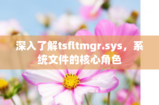 深入了解tsfltmgr图片