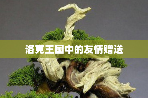 洛克王国中的友情赠送图片