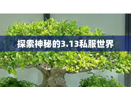 探索神秘的3图片