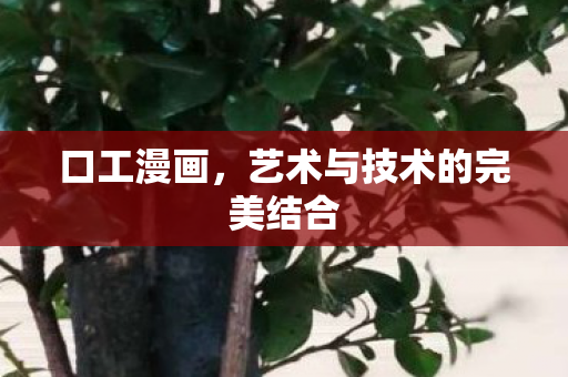 艺术与技术的完美结合图片