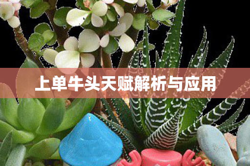 上单牛头天赋解析与应用图片