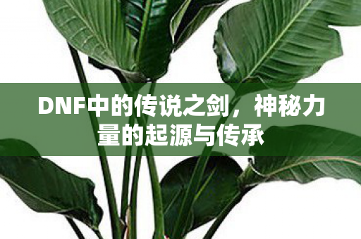 神秘力量的起源与传承图片