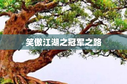 笑傲江湖之冠军之路图片