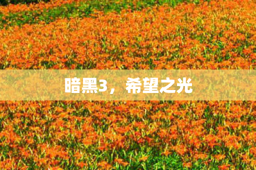 希望之光图片