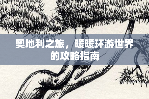 暖暖环游世界的攻略指南图片
