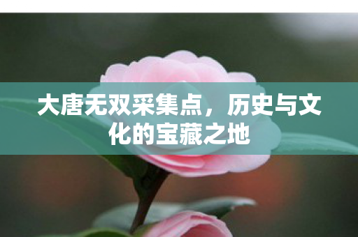 历史与文化的宝藏之地图片
