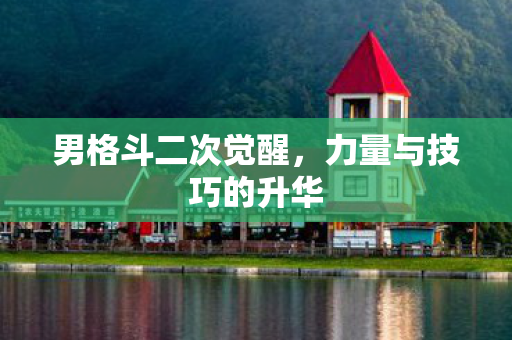 力量与技巧的升华图片
