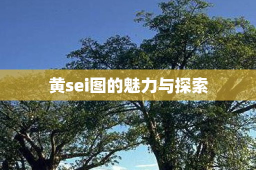 黄sei图的魅力与探索图片