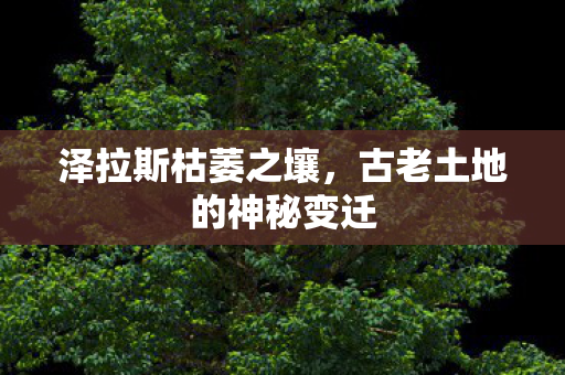 古老土地的神秘变迁图片