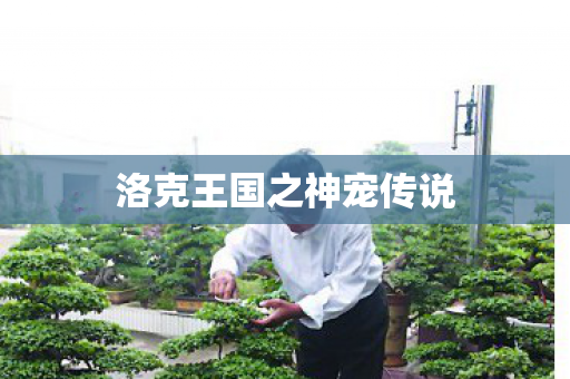 洛克王国之神宠传说图片