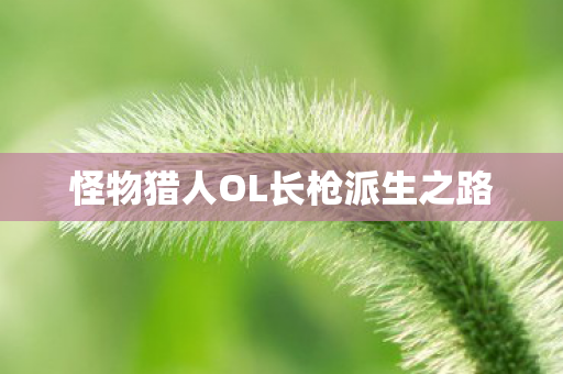怪物猎人OL长枪派生之路图片