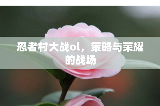 策略与荣耀的战场图片