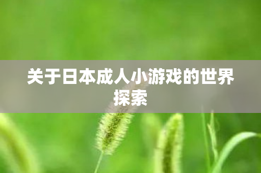 关于日本成人小游戏的世界探索图片