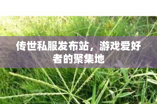 游戏爱好者的聚集地图片